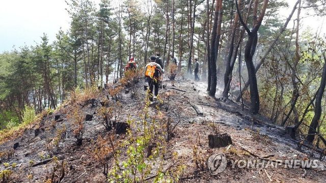 강원 전 지역 대지 바짝 마른 상태…실효습도 35% 안팎