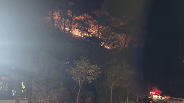 영월 국유림 산불