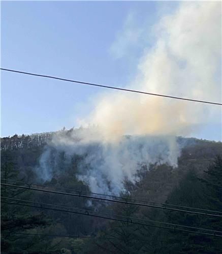 삼척 국유림서 산불