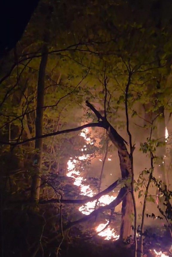 충남 서천 야산서 불 
