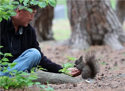 도심 숲의 우정