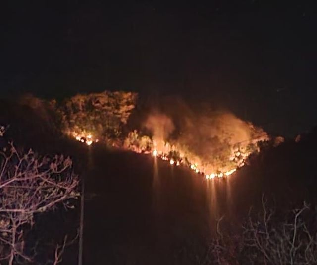 영동 야산 화재 현장