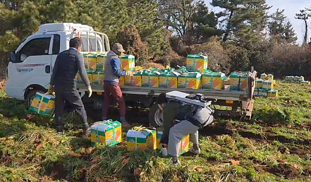 웨어러블 로봇 사용하는 농민