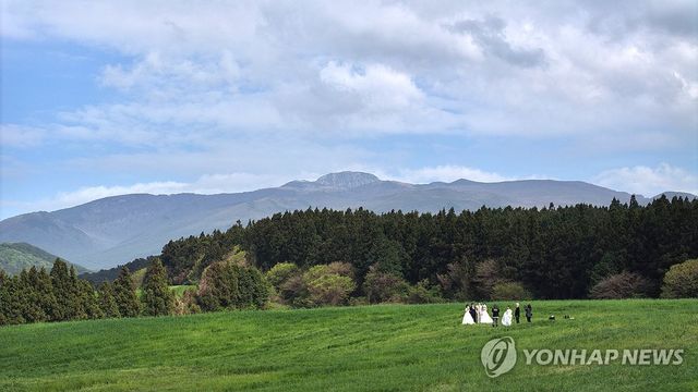 한라산 중턱 초원의 웨딩 촬영