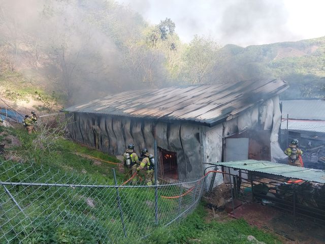 화재가 난 염소 축사