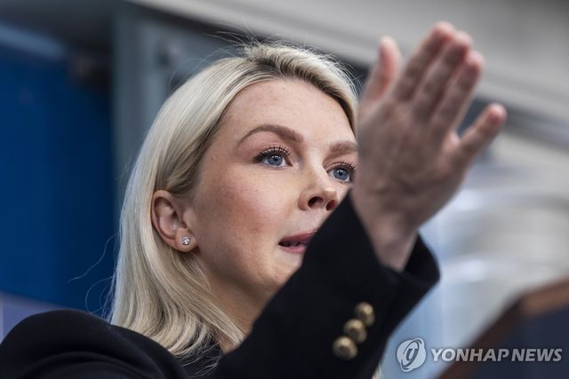 레빗 백악관 대변인