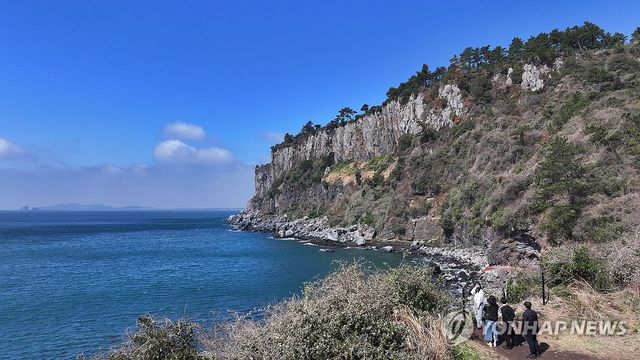 서귀포 박수기정의 봄