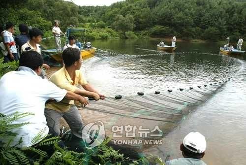 생태계 교란 배스 퇴치작업
