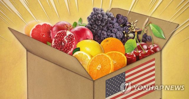 미국산 수입 과일 (PG)