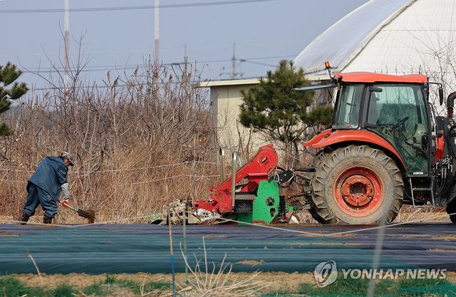 농사 준비 바쁜 강릉 들녘
