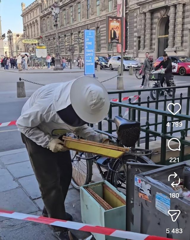 양봉가가 꿀벌들 벌통에 옮겨담는 모습