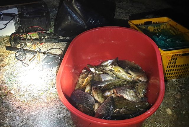 심야 불법어로 단속 현장