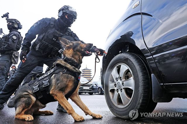 경찰특공대 탐지견