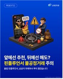 금감원 불법핀플루언서 관련 카드뉴스 이미지