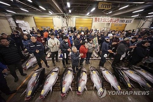 일본 참치 경매장