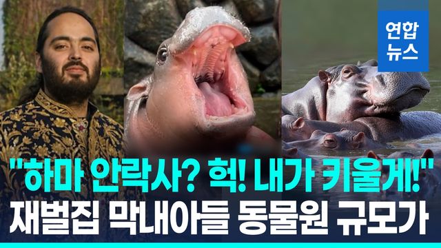 [영상] "마약왕 하마 내가 키울게"…'자산 177조' 재벌 아들 구원투수로 - 2