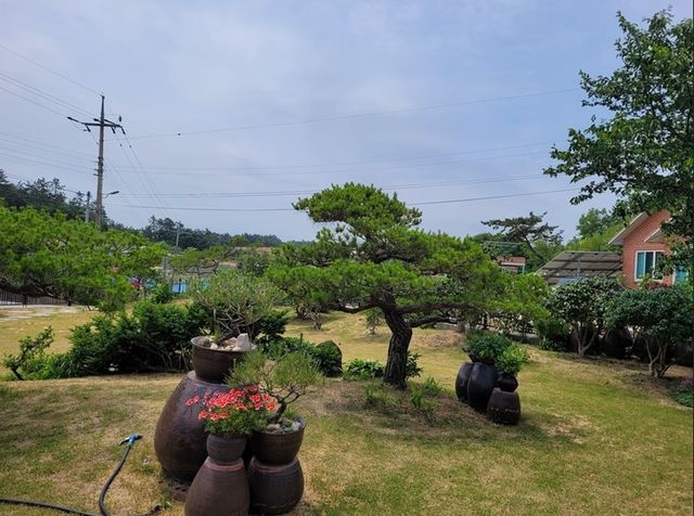 등록된 개인 정원