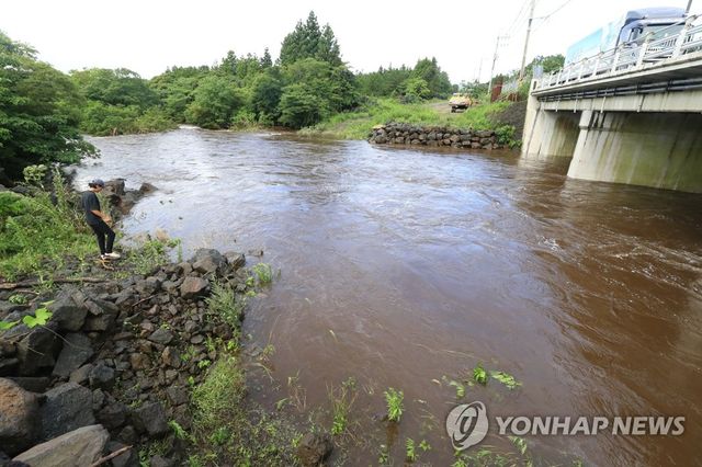 호우로 물 불어난 제주 천미천