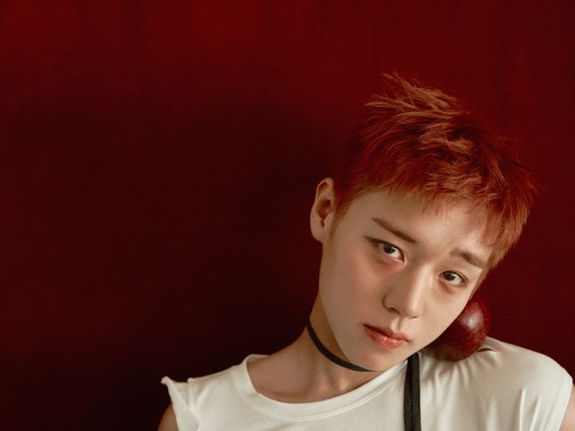 가수 겸 배우 박지훈