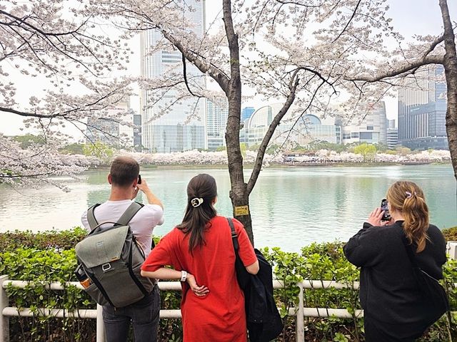석촌호수를 찾은 외국인 관광객