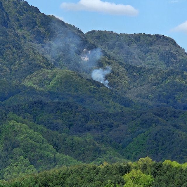 홍천 산불 현장