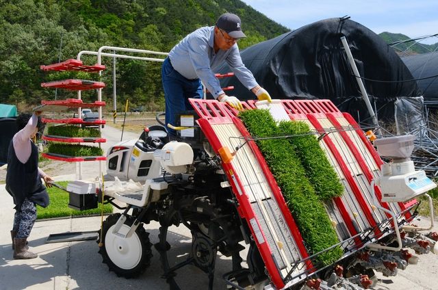 [픽! 영동] 바빠진 농심…올해 첫 모내기 시작 - 2