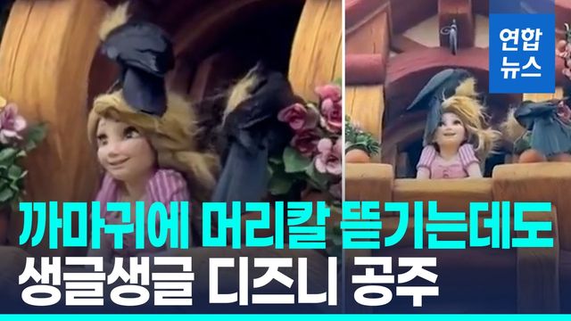 [영상] 라푼젤 머리카락을 까마귀들이…'금발 둥지' 틀려는 듯 - 2