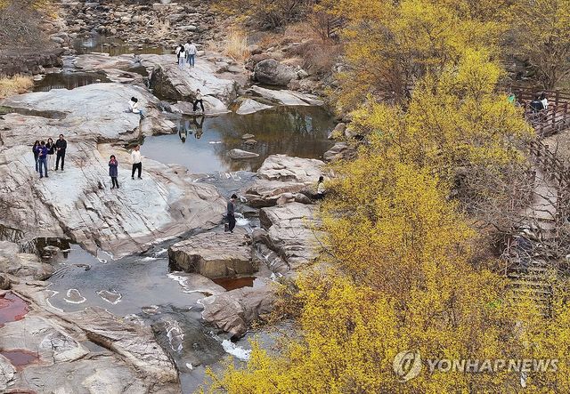 자연과 어우러진 구례산수유꽃축제