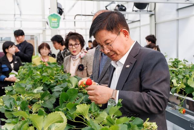 마포 스마트팜 체험관을 둘러보는 박강수 구청장