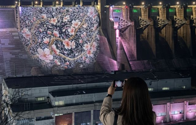 벚꽃으로 물든 충주댐 미디어파사드