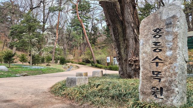 홍릉숲 [촬영 김정선]