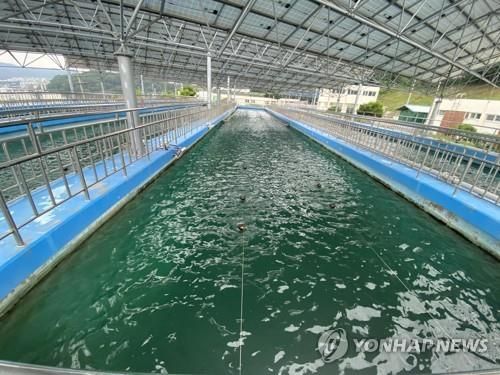 원주 정수장 침전지