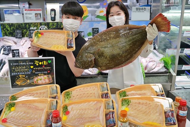 롯데마트, 제철 자연산 광어회 판매 사진