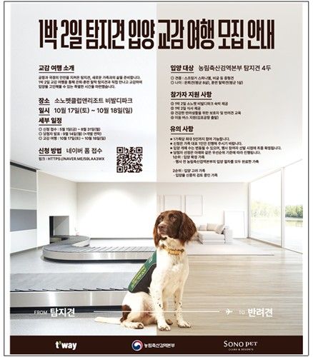 1박 2일 탐지견 입양 교감 여행 모집 안내 포스터