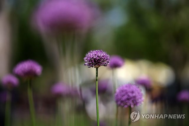 2026 서울국제정원박람회 D-1