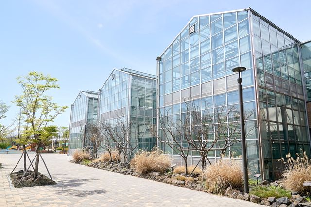 강빛숲공원 스마트팜