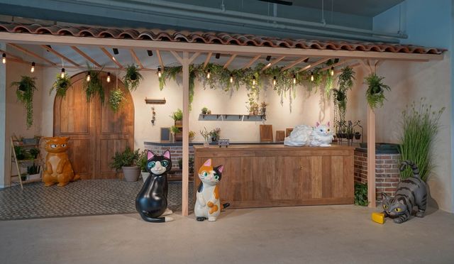 돌코리숲 실내 전시