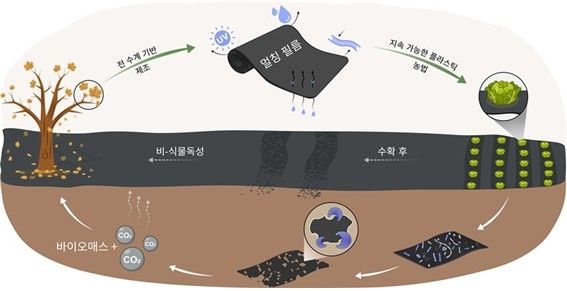연구 모식도