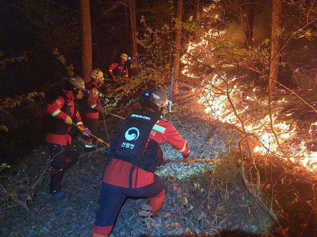 산불 재난 특수진화대원