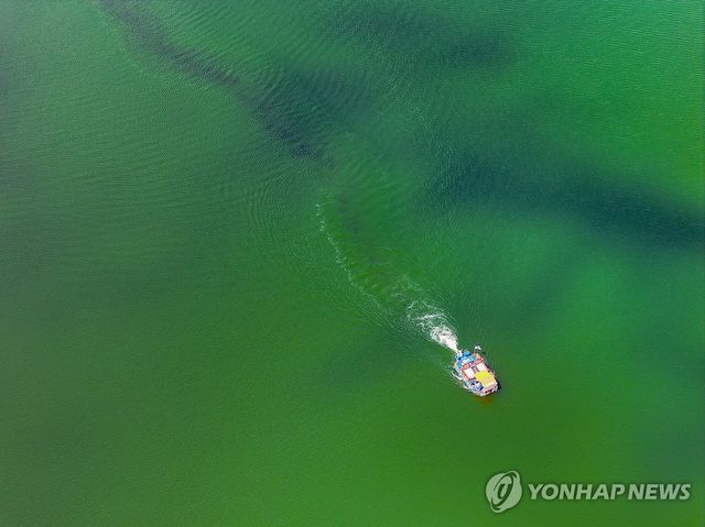 녹조제거선 고군분투