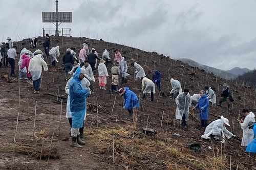 산불 피해지 안동서 나무 심는 ㈔평화의 숲