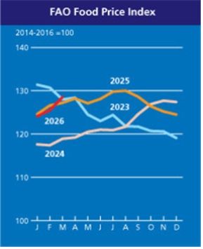연도별 식량 가격지수