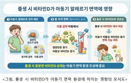 출생 시 비타민D 농도와 아동 면역 관계