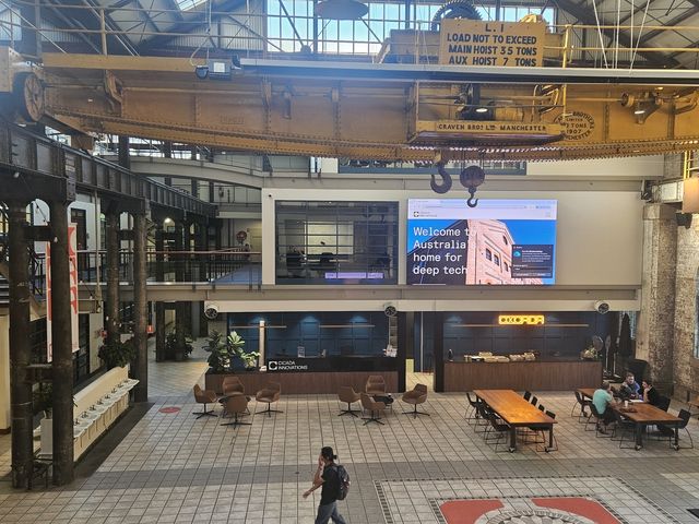 '시카다 이노베이션즈'