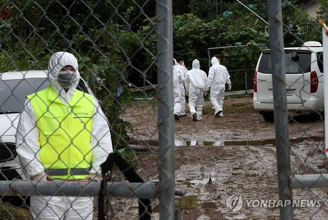 화천 양돈농가서 ASF 발생…긴급 방역 중