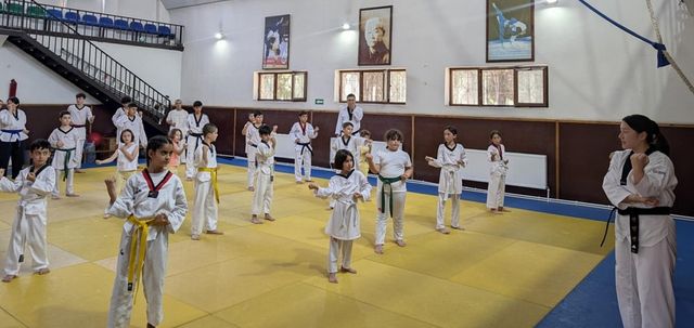 조지아에서 태권도 지도