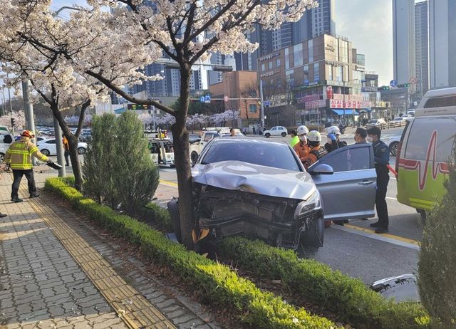 원주 교통사고 현장