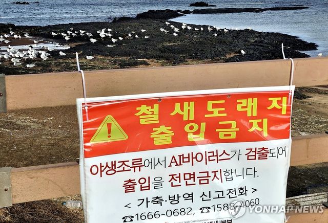 AI 발생으로 철새 도래지 출입 금지