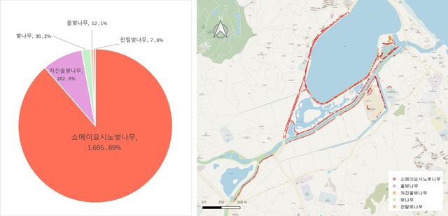 강릉 경포호 일대의 벚나무류 현황