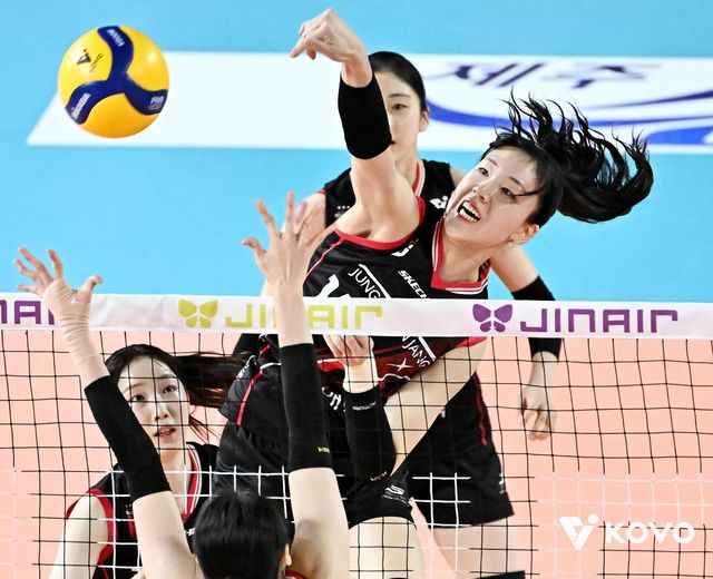 공격하는 정관장의 정호영